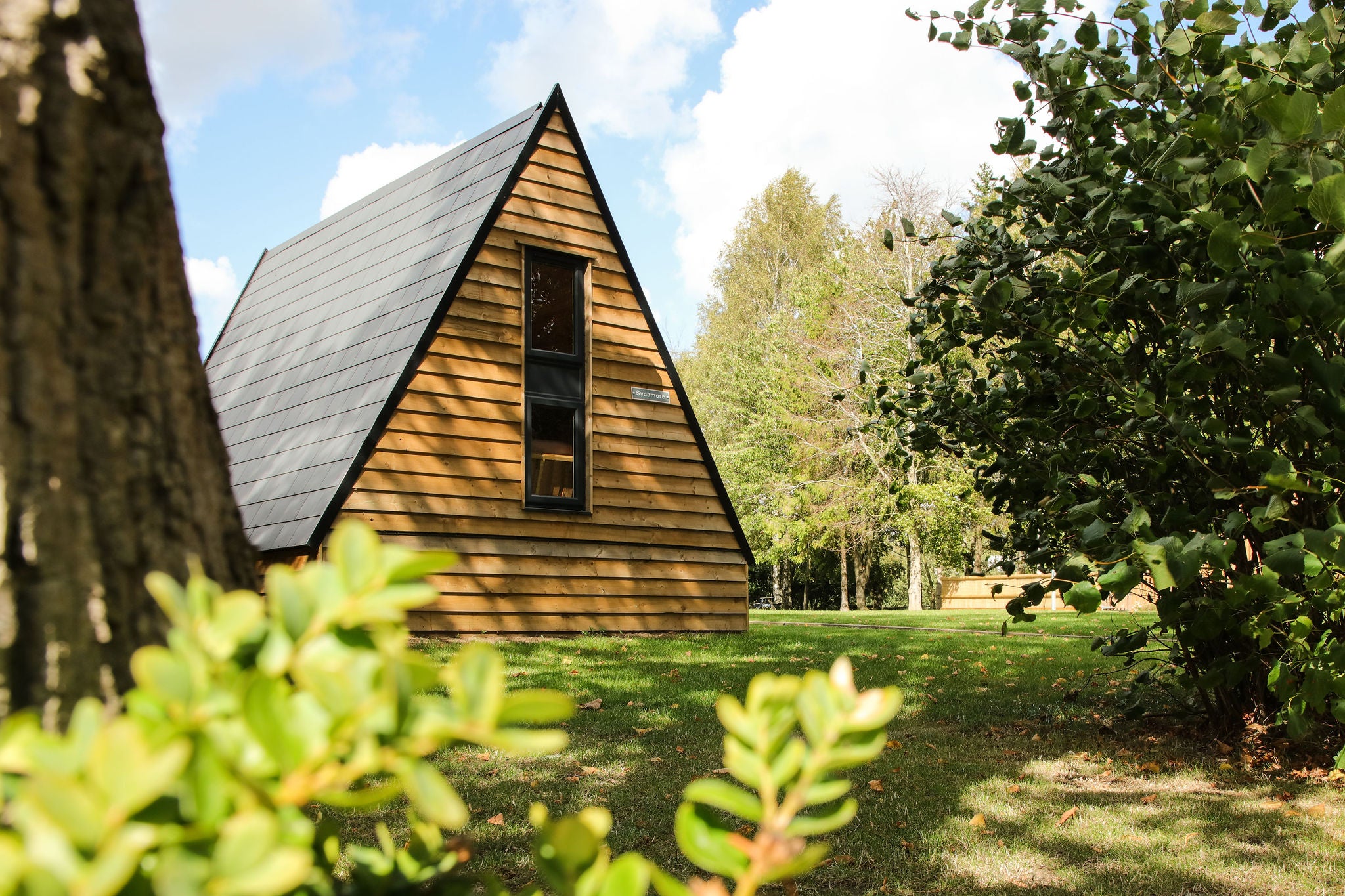sycamore lodge